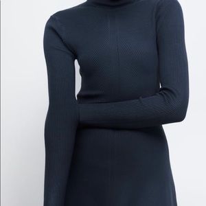 Zara turtle neck sweater dress